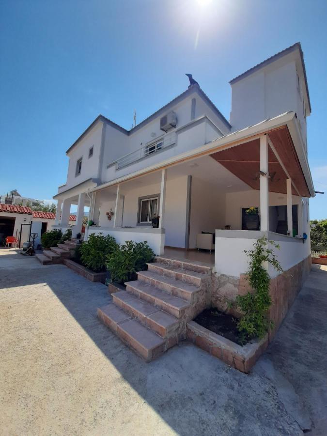 Villa Shehu クサミル エクステリア 写真